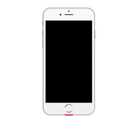 Dock Connector - iPhone 7