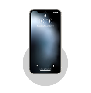 Renewed Device iPhone 11 Pro Max